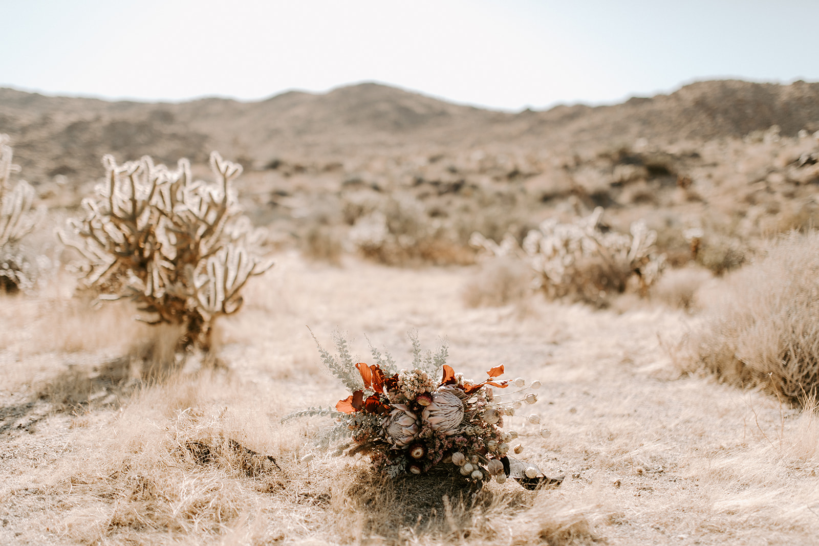 adventure elopement