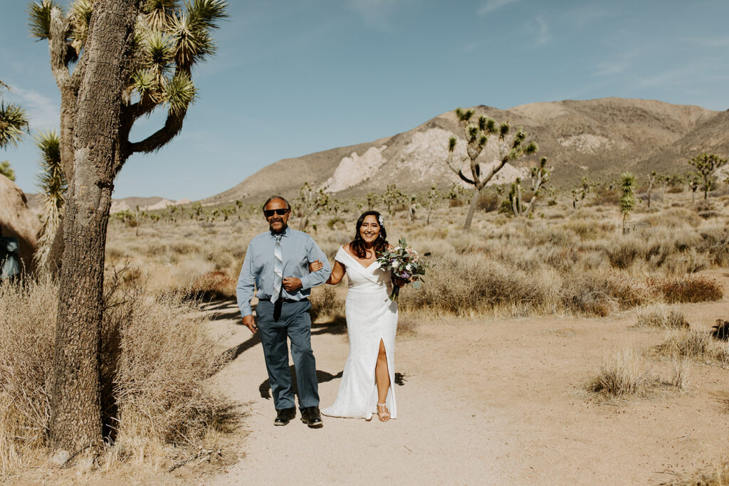 Intimate wedding in Joshua tree, Walking down the aisle, Joshua Tree Elopement, Desert Wedding, 