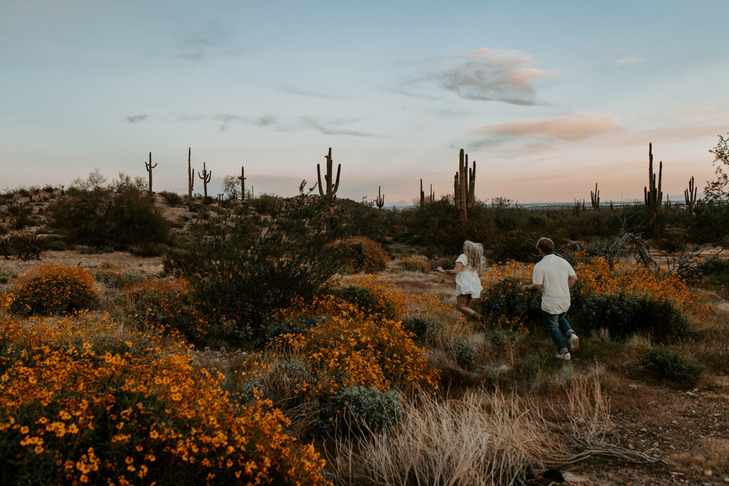 Where to Elope in Arizona? Check out Saguaro National Park.