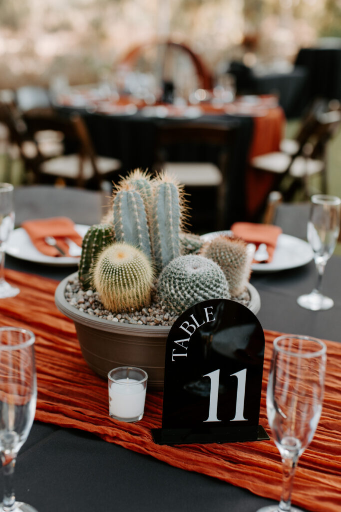 Wedding Details, Cactus Details, Wedding style, Desert Wedding Details, Arizona Wedding, 