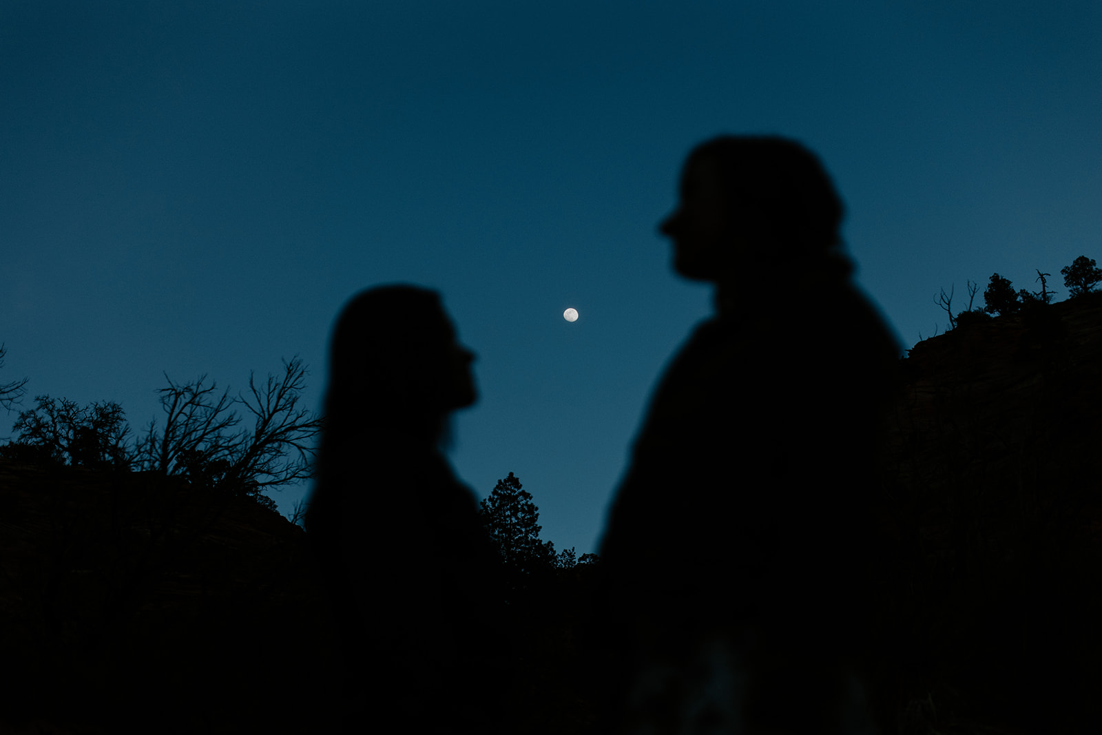 Zion national park photographer