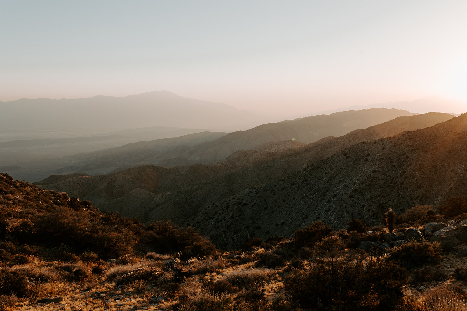 Joshua tree national park