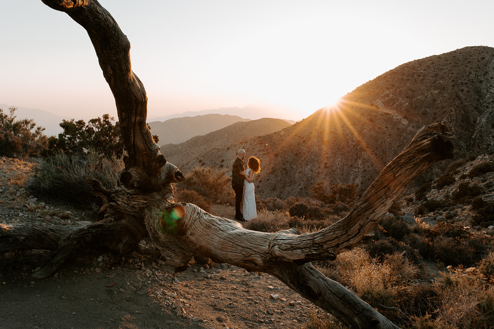 Joshua tree elopement photographer