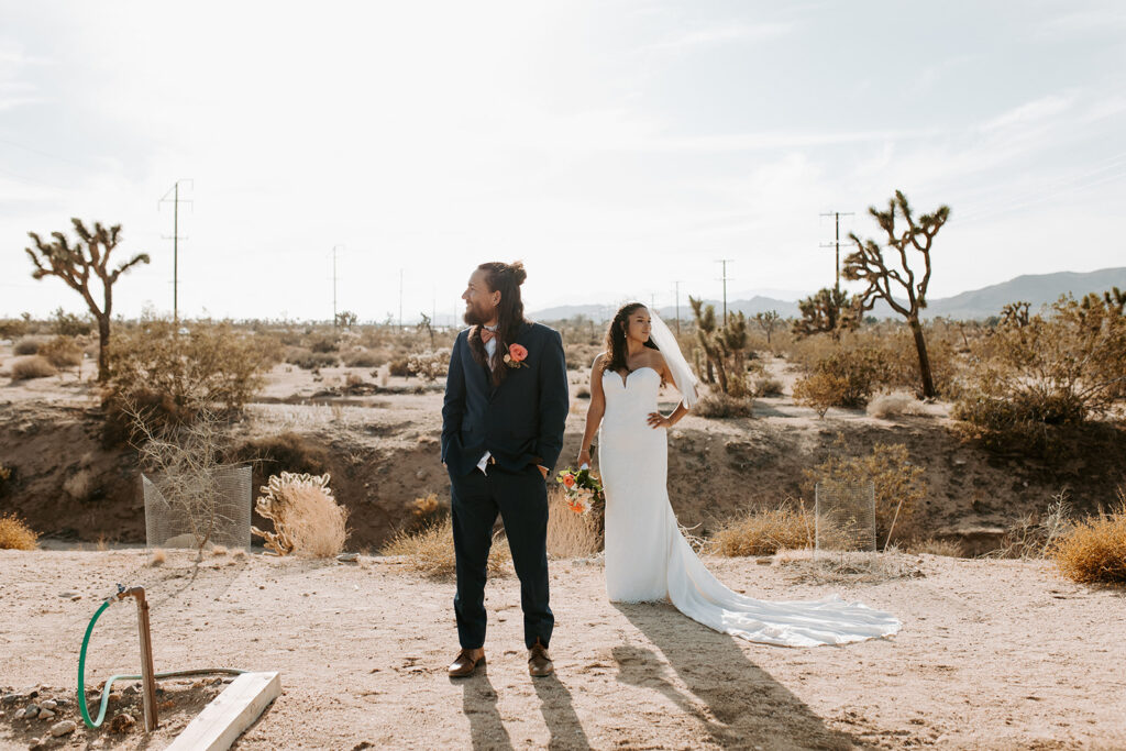 Joshua tree elopement photographer