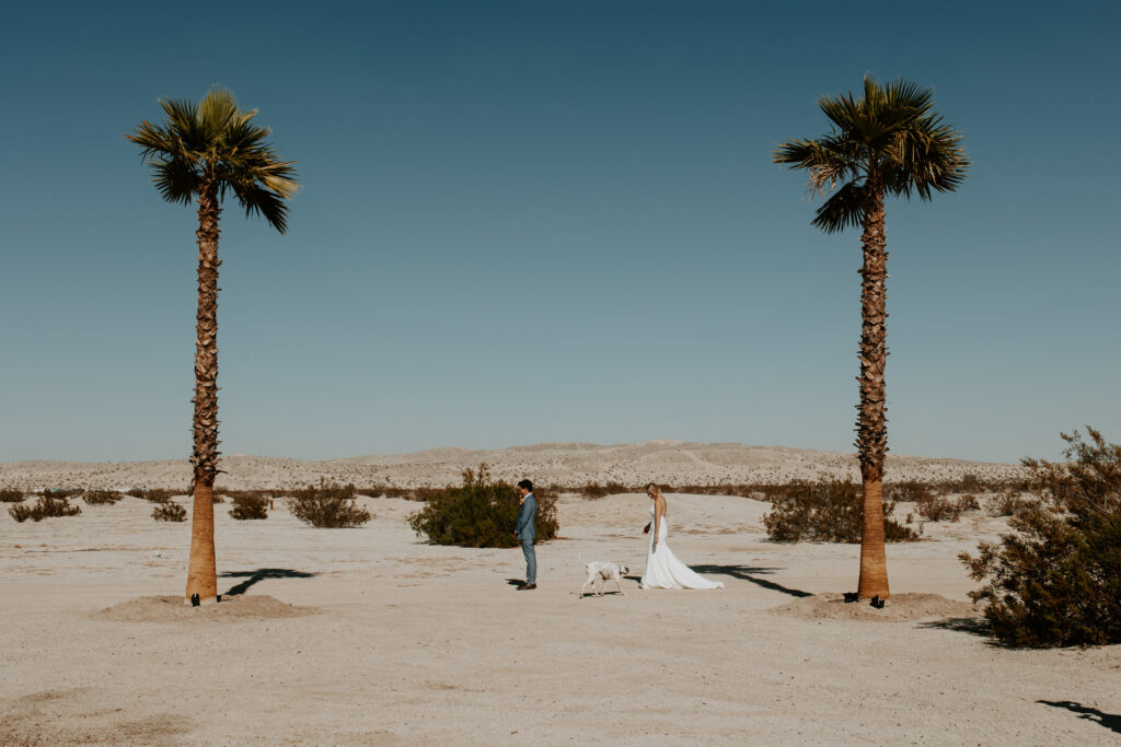 Anza Borrego Wedding, Southern California Wedding Photographer, Wedding in the Desert, Bronco Wedding, Palm Springs Wedding Photographer, Anza Borrego Wedding Photographer, San Diego Wedding Photographer, Ford Bronco Wedding, Desert Wedding, Off road wedding,
