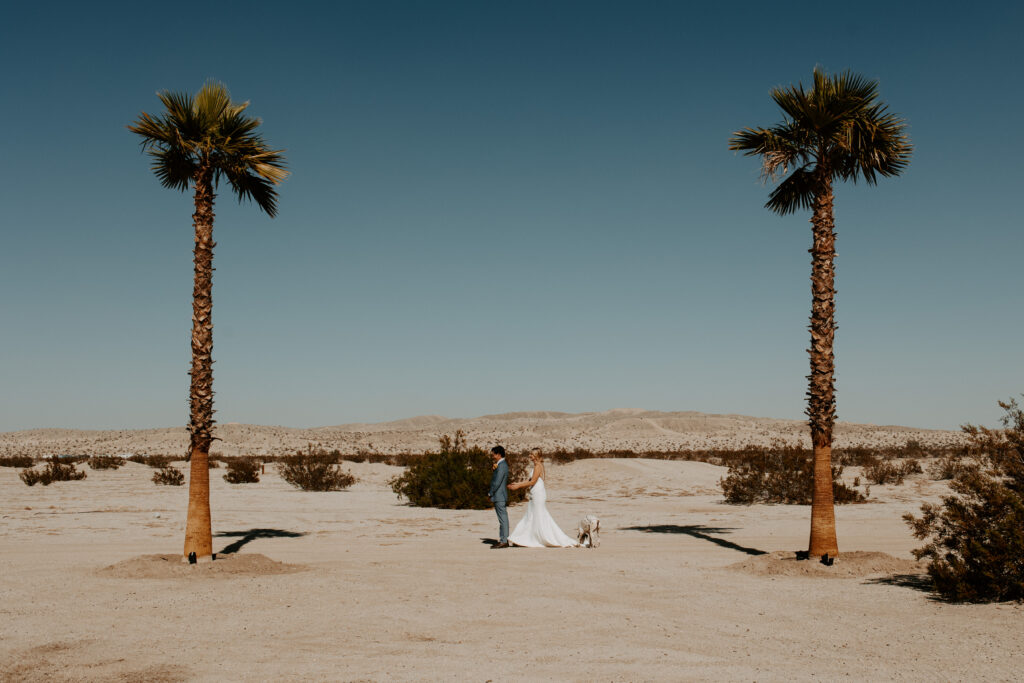 Anza Borrego Wedding, Southern California Wedding Photographer, Wedding in the Desert, Bronco Wedding, Palm Springs Wedding Photographer, Anza Borrego Wedding Photographer, San Diego Wedding Photographer, Ford Bronco Wedding, Desert Wedding, Off road wedding,