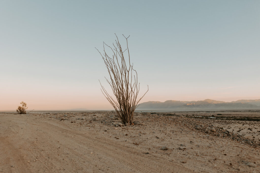Anza Borrego Wedding, Southern California Wedding Photographer, Wedding in the Desert, Bronco Wedding, Palm Springs Wedding Photographer, Anza Borrego Wedding Photographer, San Diego Wedding Photographer, Ford Bronco Wedding, Desert Wedding, Off road wedding,