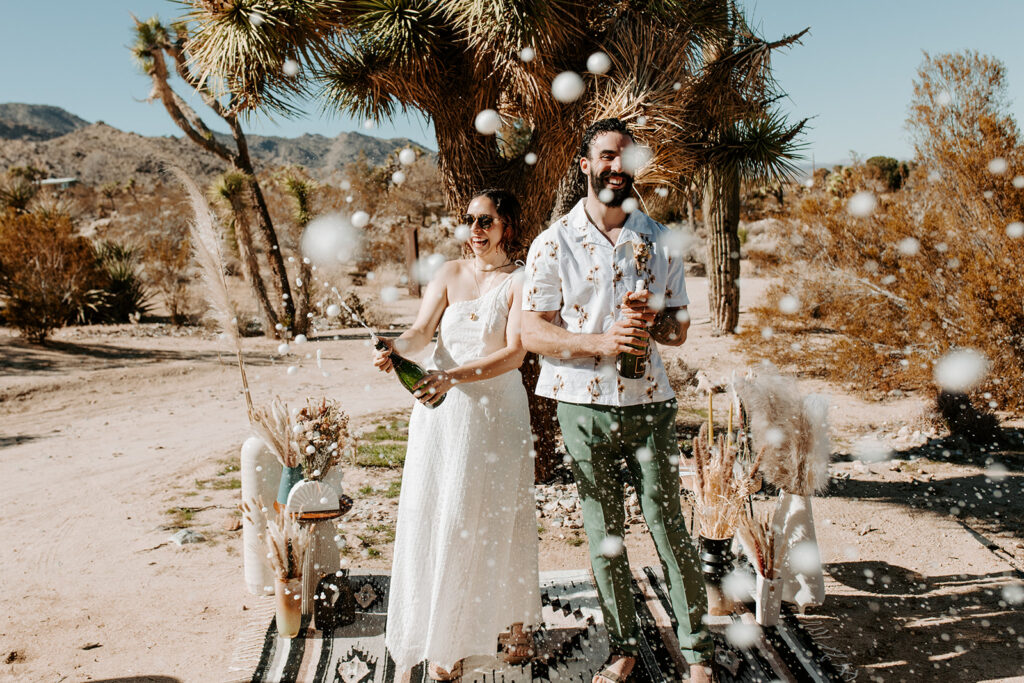 Wedding Planning, How to Plan a wedding, how long does it take to plan a wedding, Unique wedding planning, Tips for planning a wedding, Elopement planning tips. Joshua tree elopement,