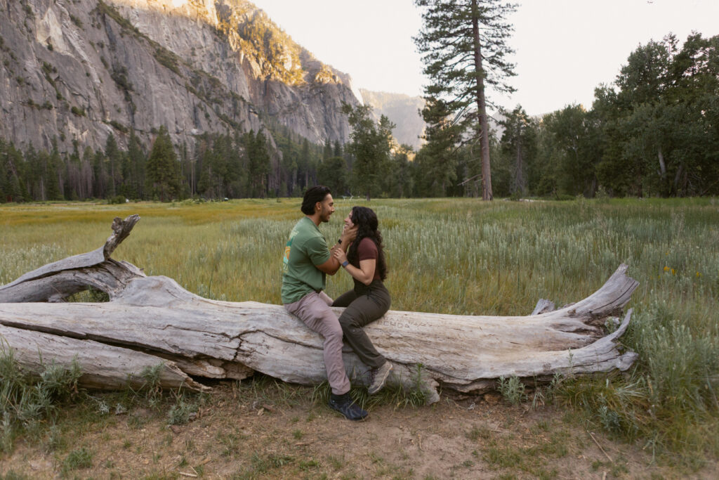 Yosemite proposal photographer,
Cooks Meadow,
Yosemite Valley proposal,
Surprise proposal in Yosemite
Yosemite Falls engagement,
Yosemite proposal ideas,
Yosemite photographer, Proposal in cooks meadow, 

