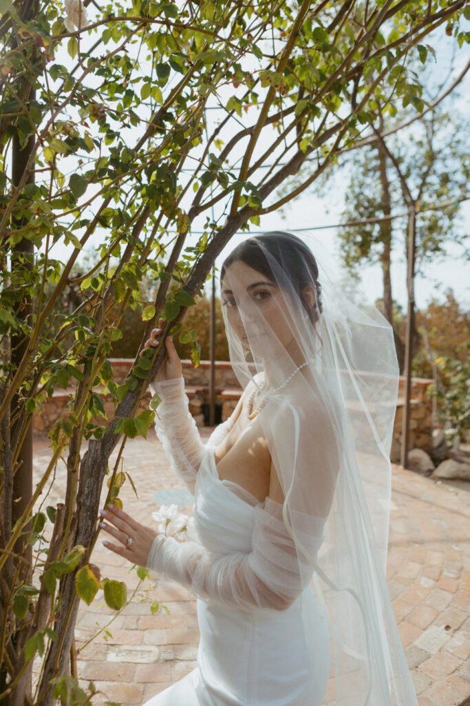Alta Vista Botanical Gardens Wedding, Vista Wedding Photographer, California wedding photographer, San Diego Wedding Photographer, Garden Weddings,