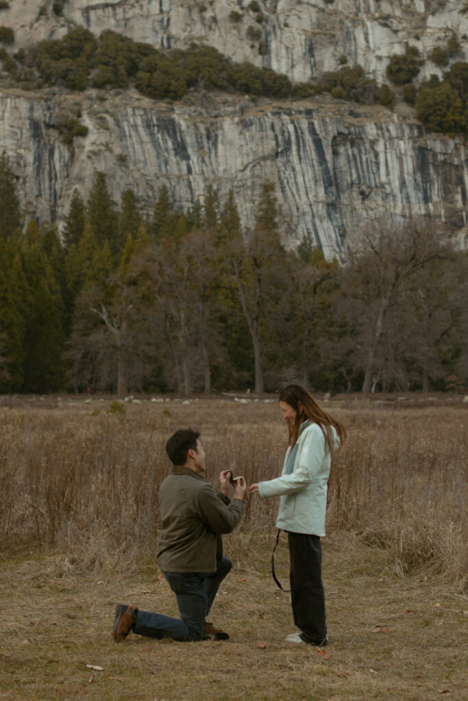 Lydia saying yes during a surprise proposal at Cooks Meadow with dramatic Yosemite cliffs in the distance.