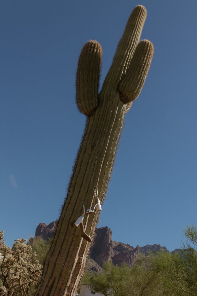 Bridal Shoes and Wedding day details in the Arizona Desert Taken By an Arizona Wedding Photographer, 