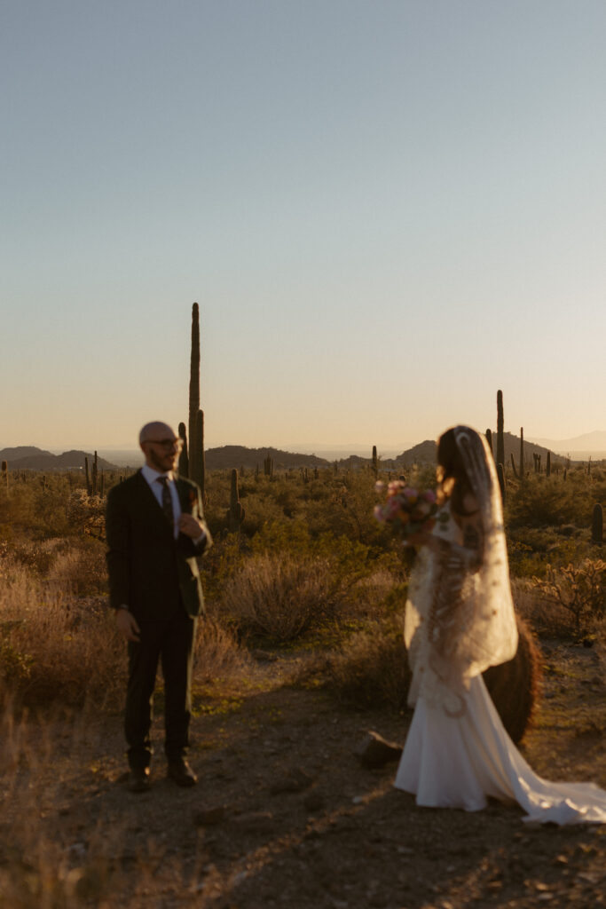 Usery Regional Park wedding photographed by an Arizona wedding photographer

Desert mountain backdrop at an intimate wedding in Mesa, Arizona

Arizona desert landscape surrounding a small wedding ceremony

Sunset portraits at Usery Regional Park during an intimate Arizona wedding

State park wedding location in Arizona with desert scenery