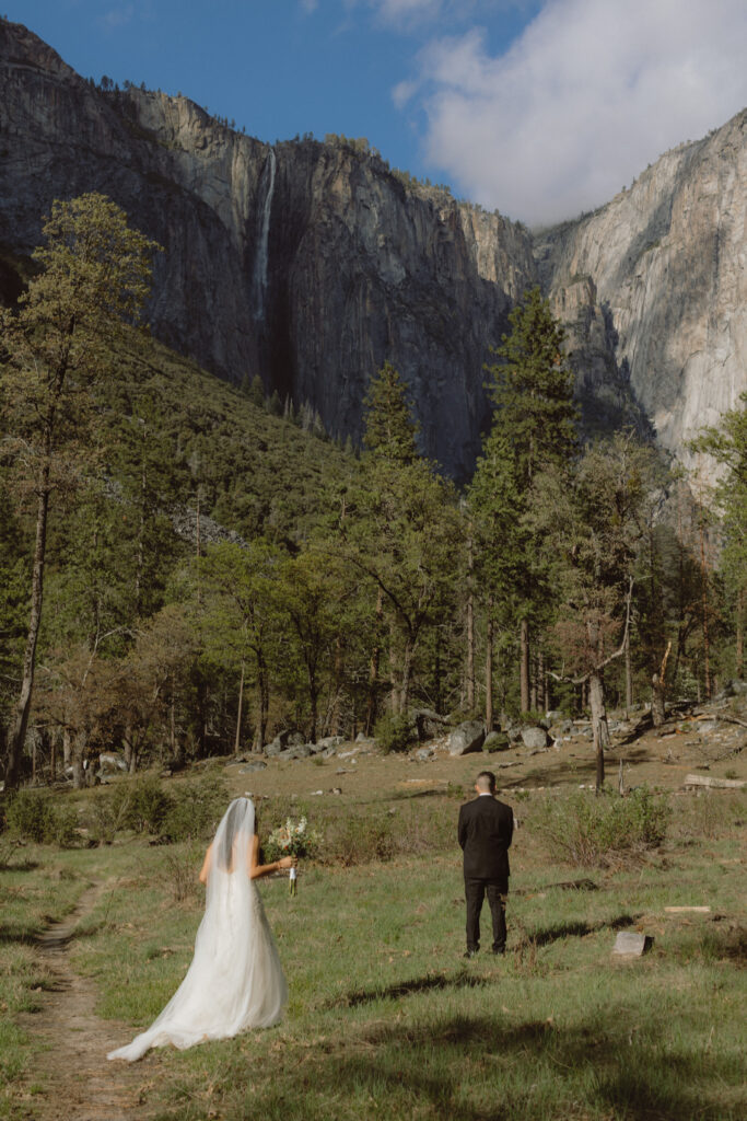 First Look in a quite Meadow for this elopement in Yosemite National Park, How to Elope in Yosemite National Park, 
